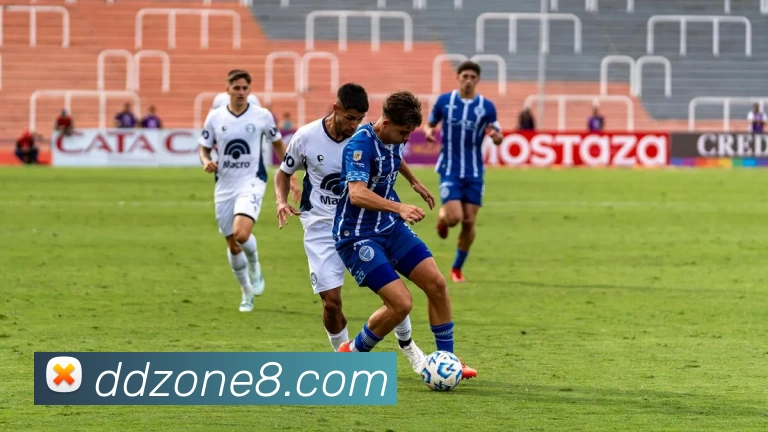 鼎点娱乐官网服务体系